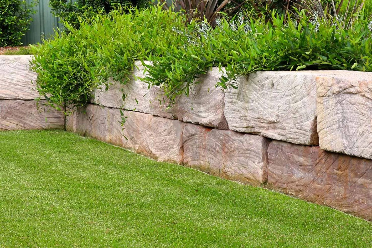 Sandstone block retaining wall topped with garden plants
